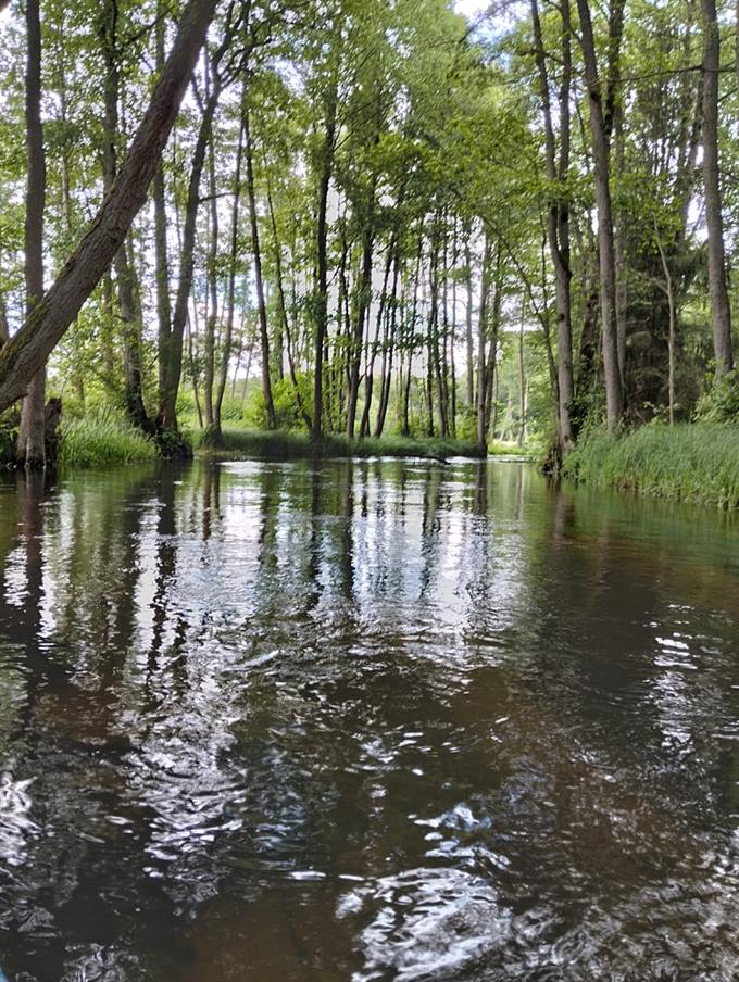Kajaki na rzece Piława